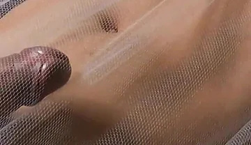 I Bought Some Transparent Sheets so You Can Enjoy My Wet Dream