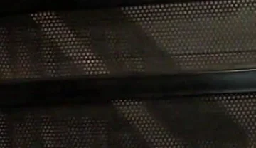 Orgy Amator with His Friends