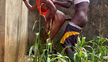 Agricultural Practice