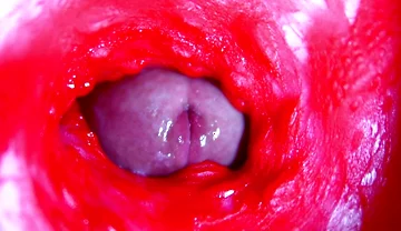 Extreme close-up ASMR head inside wet pussy