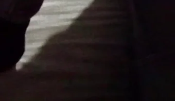 Vans Shoes My Feet Socks and Fun