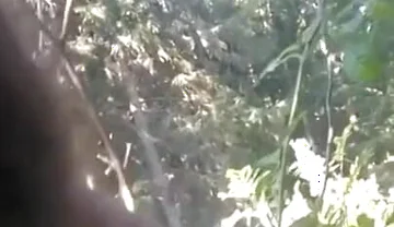 Pissing in My Backyard