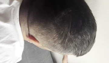 Impromptu yet Incredible