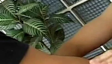 Hot Twinks Gay Fuck Action - Mutual Anal Creampie Switch Hitter