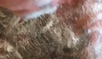 Still Dirty