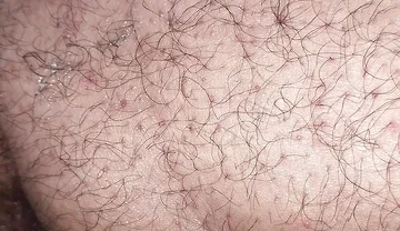 A Close up Ass Worshiping and Fingering