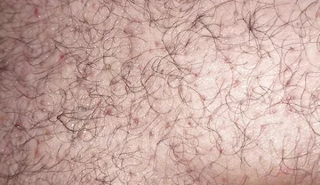 A Close up Ass Worshiping and Fingering