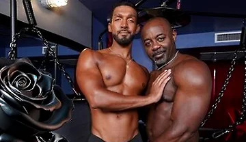 Guy Selector - Enter The Sex Room With Luka Phoenix And Aaron Trainer