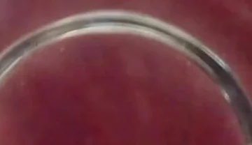 Fat Glass Dildo Inside View