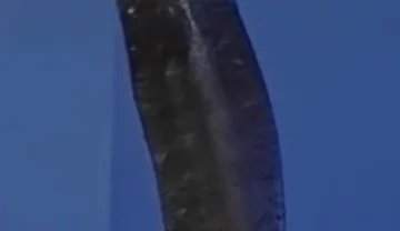 Sucking a Huge Black Cock in a Glory Hole