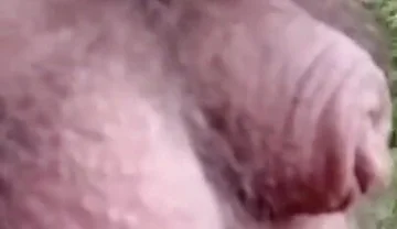 Pissing in the Woods