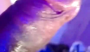 Hot Hairy Man Masturbating and Moaning