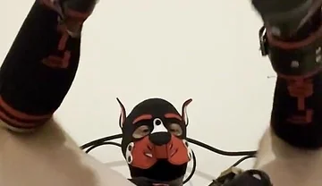 Gaping Gay Puppy Ass After Heavy Fisting Night