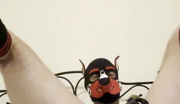 Gaping Gay Puppy Ass After Heavy Fisting Night