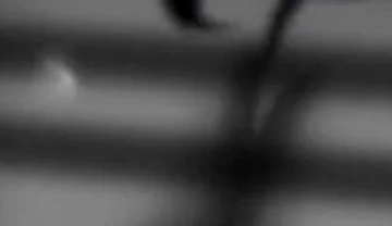 Lying with the Devil - Bara Yaoi