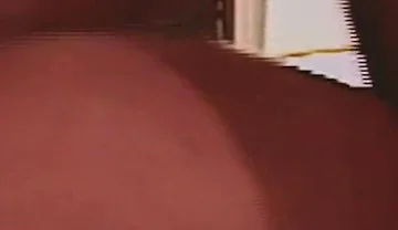 Gay Island Scene-3 Muscular Guy Fucks a Twink in the Apartment