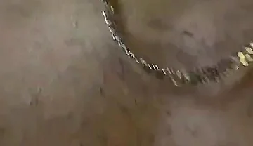 Two Twinkies, Secluded in the Forest