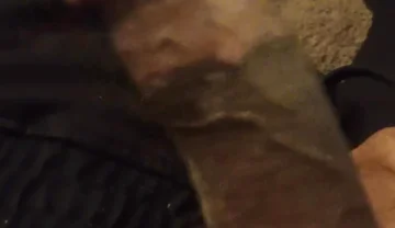 Watch Me Cum All Over