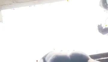 Doggy Bareback Below View