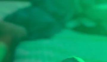 Watching Porn and Pulling the Tip or My Dick with Colored Lights