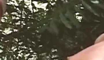 Gay Training Scene-1_military Trainer Teaches Anal Sex to Latin Cadet