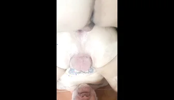 Reverse Fuck