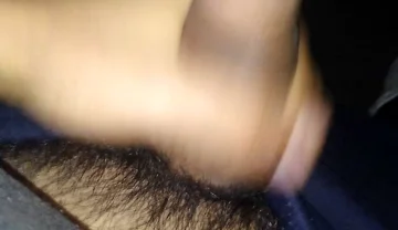 Pleasure in the Afternoon