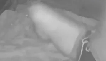 During His Jog, a Guy Discovers a Young Camper and Submits Him - Caught on Night Vision Cam