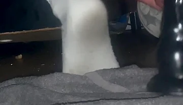 Tangaboy Stops the Asshole