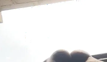 Doggy Bareback Below View