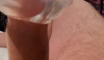 A Bear's Last Load of the Night