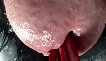 My Crocodile's Mouth Is Fed