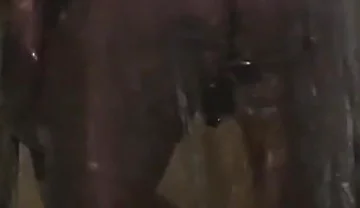 Transparent Clean Try-on Haul. Cleaning the Wall