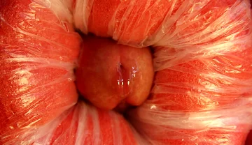 It Was Evening and There Was Nothing to Fuck!