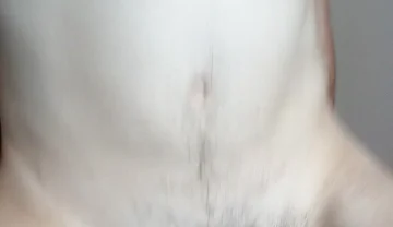 Huge Dildo Deep in My Ass