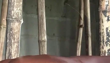 Bang That Slime Fit Bussy in the Wood After Some Blowjob