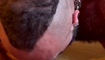 Hairy Males Fucking