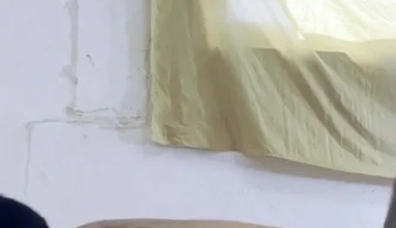 The Mexican bareback 2