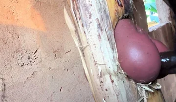 The Prisoner Find Hard Way to Sex