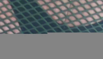 Show My Fat Ass and Balls on the Chair