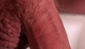 Exposed Glans, Naked and Relaxed Bear