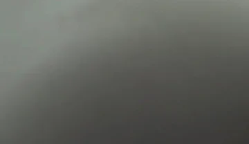 Essasexe2