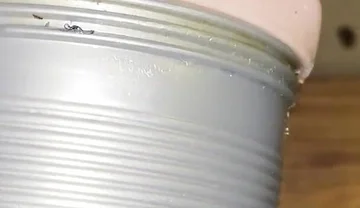 Deep Fucking My Fleshlight