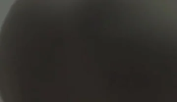 Essa Is Ass