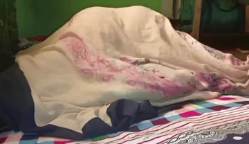 Anal Sex with My Girlfriend