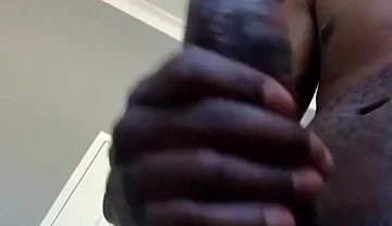Black King 2