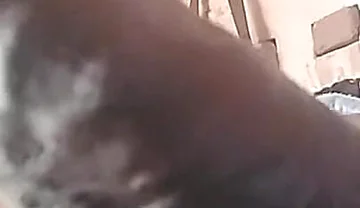 My Cock Is Very Hard and Long