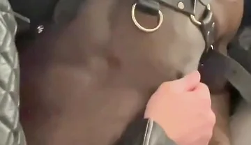 Interracial BDSM Whipping Titplay & Wank Session