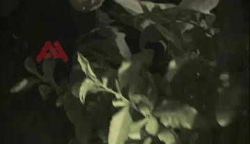 Amateur Boy Sucks a Guy He Found Jerking-off in the Street