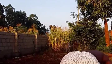 Sexy Desi Twink Stretching Compilation